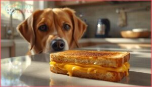 what health risks does grilled cheese pose to dogs what health risks does grilled cheese pose to dogs