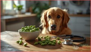 what is edamame and is it safe for dogs what is edamame and is it safe for dogs