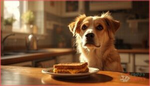 what should i do if my dog eats grilled cheese what should i do if my dog eats grilled cheese