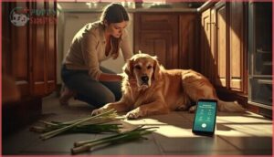 what to do if your dog eats lemongrass what to do if your dog eats lemongrass