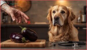 when should dogs avoid eggplant when should dogs avoid eggplant