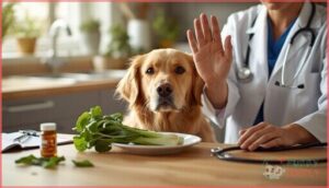 when to avoid giving bok choy to dogs when to avoid giving bok choy to dogs