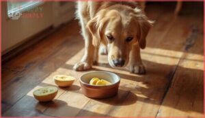 when to avoid rutabaga for dogs when to avoid rutabaga for dogs
