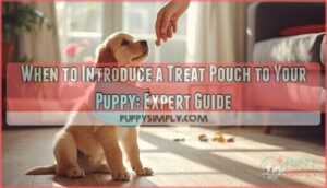 when to introduce a treat pouch to your puppy when to introduce a treat pouch to your puppy