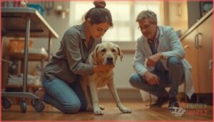 when to seek veterinary help when to seek veterinary help