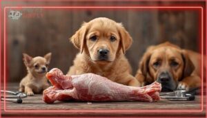which dogs should not eat raw turkey necks which dogs should not eat raw turkey necks
