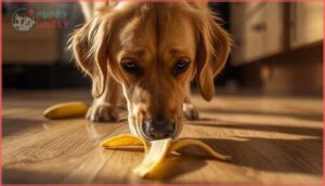 why banana peels are risky for dogs why banana peels are risky for dogs
