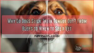 why do dogs stick their tongue out why do dogs stick their tongue out