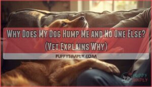 why does my dog hump me and no one else why does my dog hump me and no one else