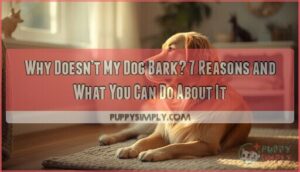 why doesnt my dog bark why doesnt my dog bark