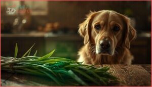 why is lemongrass toxic to dogs why is lemongrass toxic to dogs