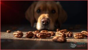 why pecans are unsafe for dogs why pecans are unsafe for dogs