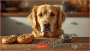 why poppy seeds are dangerous for dogs why poppy seeds are dangerous for dogs