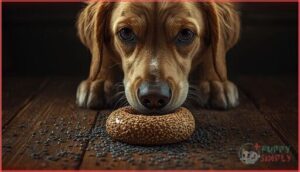 why poppy seeds are dangerous for dogs why poppy seeds are dangerous for dogs