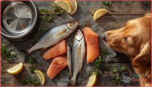 alternatives to sardines in olive oil alternatives to sardines in olive oil