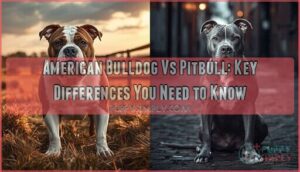 american bulldog vs pitbull american bulldog vs pitbull