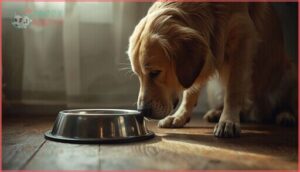 appetite loss and weight loss appetite loss and weight loss