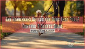 are harnesses better for dogs that pull are harnesses better for dogs that pull