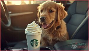 are puppuccinos a good idea are puppuccinos a good idea