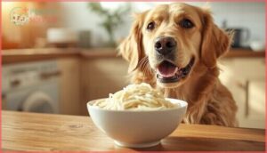 are rice noodles safe for dogs are rice noodles safe for dogs