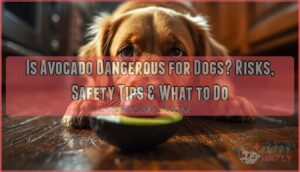 avocado dangerous for dogs