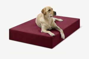Barker Beds Large Orthopedic Dog B009G9Y5Q6