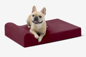 Barker Beds Small Orthopedic Dog B00DP5W910