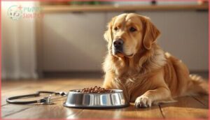 benefits, risks, and vet guidance benefits, risks, and vet guidance