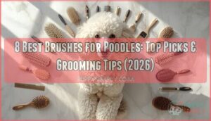 best brush for poodles best brush for poodles