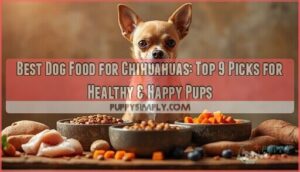 best dog food for chihuahuas best dog food for chihuahuas