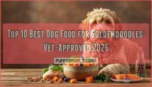 best dog food for goldendoodles best dog food for goldendoodles
