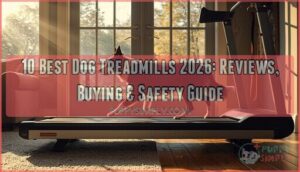 best dog treadmills best dog treadmills