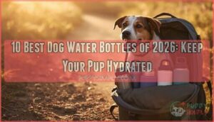 best dog water bottles best dog water bottles