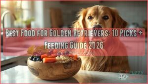 best food for golden retrievers best food for golden retrievers