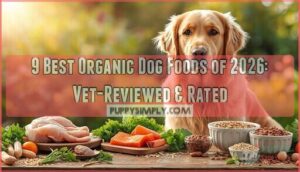 best organic dog food best organic dog food