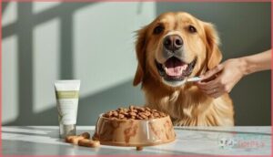 best practices for canine dental care best practices for canine dental care