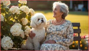 bichon frise bichon frise