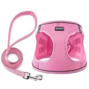 BOOMIBOO Dog Harness with Leash B0CHJS29B6