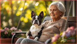 boston terrier boston terrier