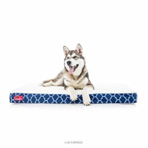 Brindle Waterproof Designer Memory Foam B00ZGIU3C6