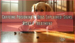 caffeine poisoning dogs explained