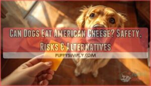 can dogs eat american cheese can dogs eat american cheese