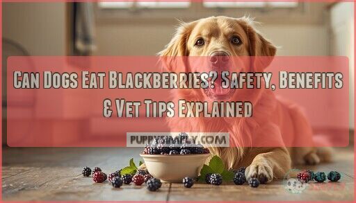 Thumbnail for Can Dogs Eat Blackberries Safety Benefits And Vet Tips Explained