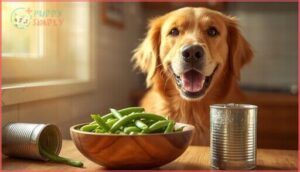 can dogs eat canned green beans can dogs eat canned green beans