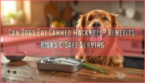 can dogs eat canned mackerel can dogs eat canned mackerel