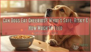 can dogs eat cheerios can dogs eat cheerios