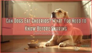 can dogs eat cherios can dogs eat cherios