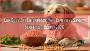 can dogs eat chickpeas can dogs eat chickpeas