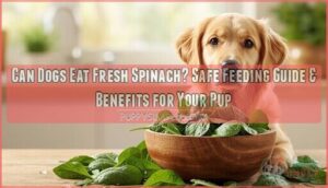 can dogs eat fresh spinach can dogs eat fresh spinach