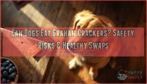 can dogs eat graham crackers